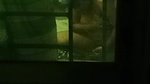 HOT HORNY MAAL BHABHI STRIPPING SHOWING SAGGY BOOBS PUSSY & BIGASS 5 CLIPS  24