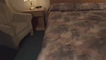 Wife gets ravaged and fucked hard in her first threesome