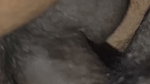 Dears Today I Show My Milky Boobs Shaking