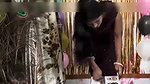 Desi woman in hotel real audio and real intense whole romantic mood happy ending