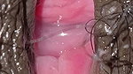 Feel the Breath in Full Cum Inside the Indian Pussy