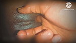 Finger in। My Pussy India XXX Desi