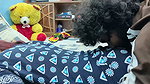 Hot ass kiss and ass lick romance of desi couple