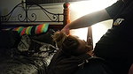 Amateur Cuckolding MILF Sucking Husband And His Best Friend