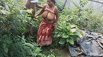 Indian desi housewife ki doggy style hadcora fucking sex