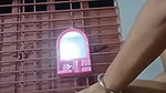 Bangla Sex Video