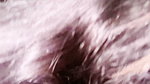 Stepsister Fucked Her Stepbrother’s Thick Cock in Her Tight Pussy