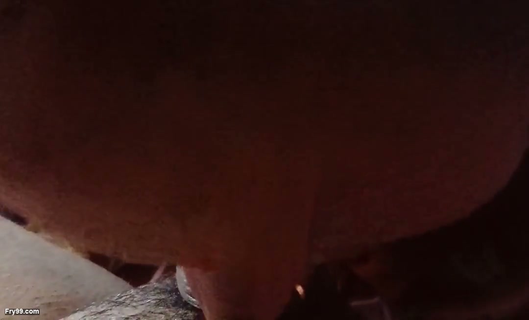 Frame 7