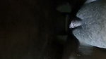 Horny Married Couple Having Blowjob Fucking Riding 5 Clips 2 2