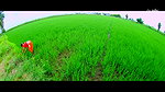 Unk Actress2 Wild Tempting,Seduction Scene in Farm land-Panileni Puli Raju 2016 2
