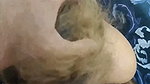 Arab Wife Sucking Husband Dick 2