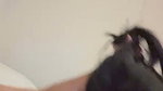 DESI COUPLE ENJOYING SEX IN HOTEL ROOM GF SUCKING DEEP 3 CLIPS 2 1