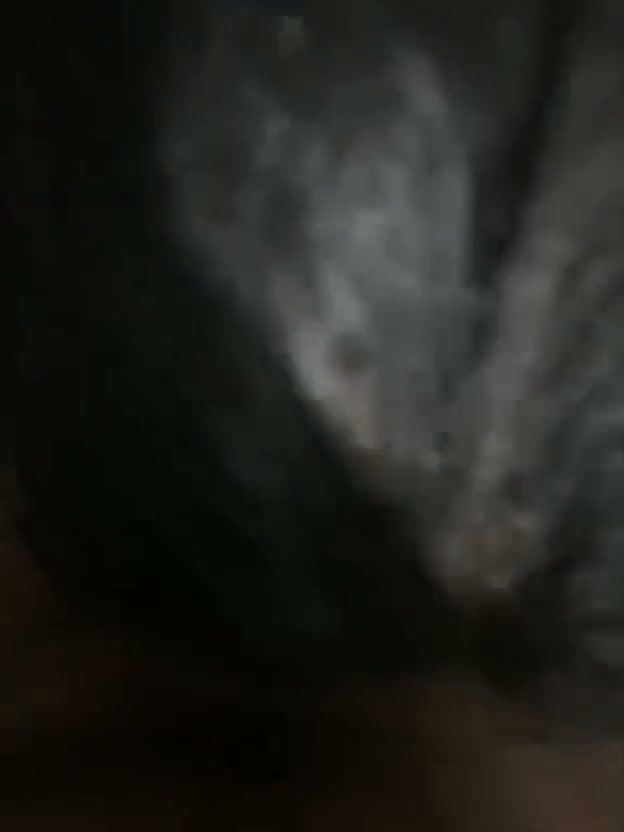 Frame 1