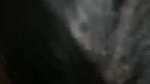 Horny GF Doggy Fucking, Riding, BJ UPDATES 2 3