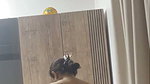 INNOCENT DESI MOM CHANGING SECRETLY RECORDED ~ small clips 2 1