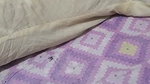 INNOCENT DESI VILLAGE BHABHI NUDE CAPTURED & FUCKED 5 CLIPS 2 3