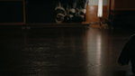 Karis Cameron Mika Abdalla Off Campus S01E01 2026 HD 1080p