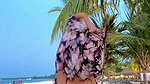 RAVISHING DIVA STRIP NEAR BEACH TOO SEDUCTIVE 2