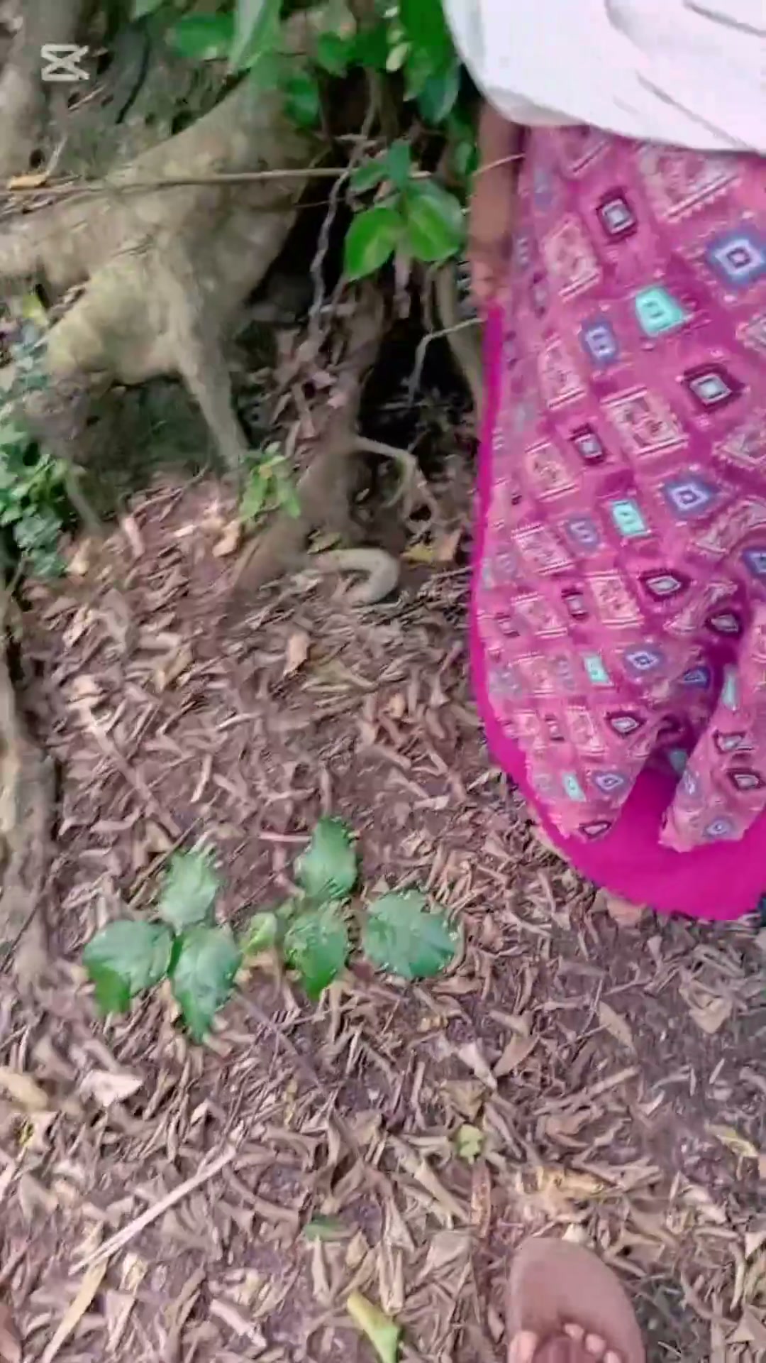 Frame 1
