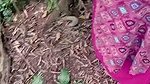 Outdoor sex