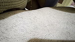 Indian wife suck nipple she need everyday suck and fuck