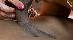 Ruksar enjoyed sucking Aniket’s cock and putting it in her pussy