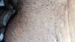 South Indian Tamil couple deep mouth kiss fuking homemade video