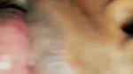 South Indian Tamil couple deep mouth kiss fuking homemade video
