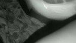 Xvideo indian hot video