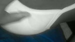 Xvideo indian hot video