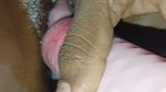 Bhabhi Ne pura vibrator chut me dal diya