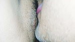 Closeup hard fucking and doggy position fucking sex video
