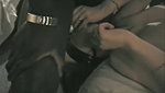 Blindfolded light brown haired slammed by two dark dicks