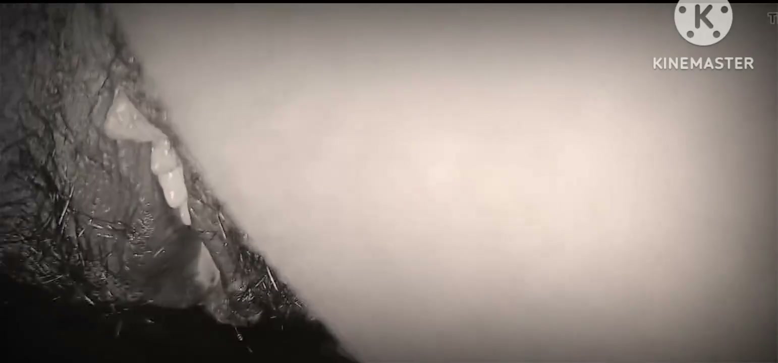 Frame 4