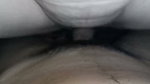 Nepali BF GF Fun and Fucking Secret Room Description