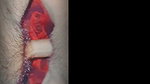 Punjabi stepsister sex full enjoy xxx