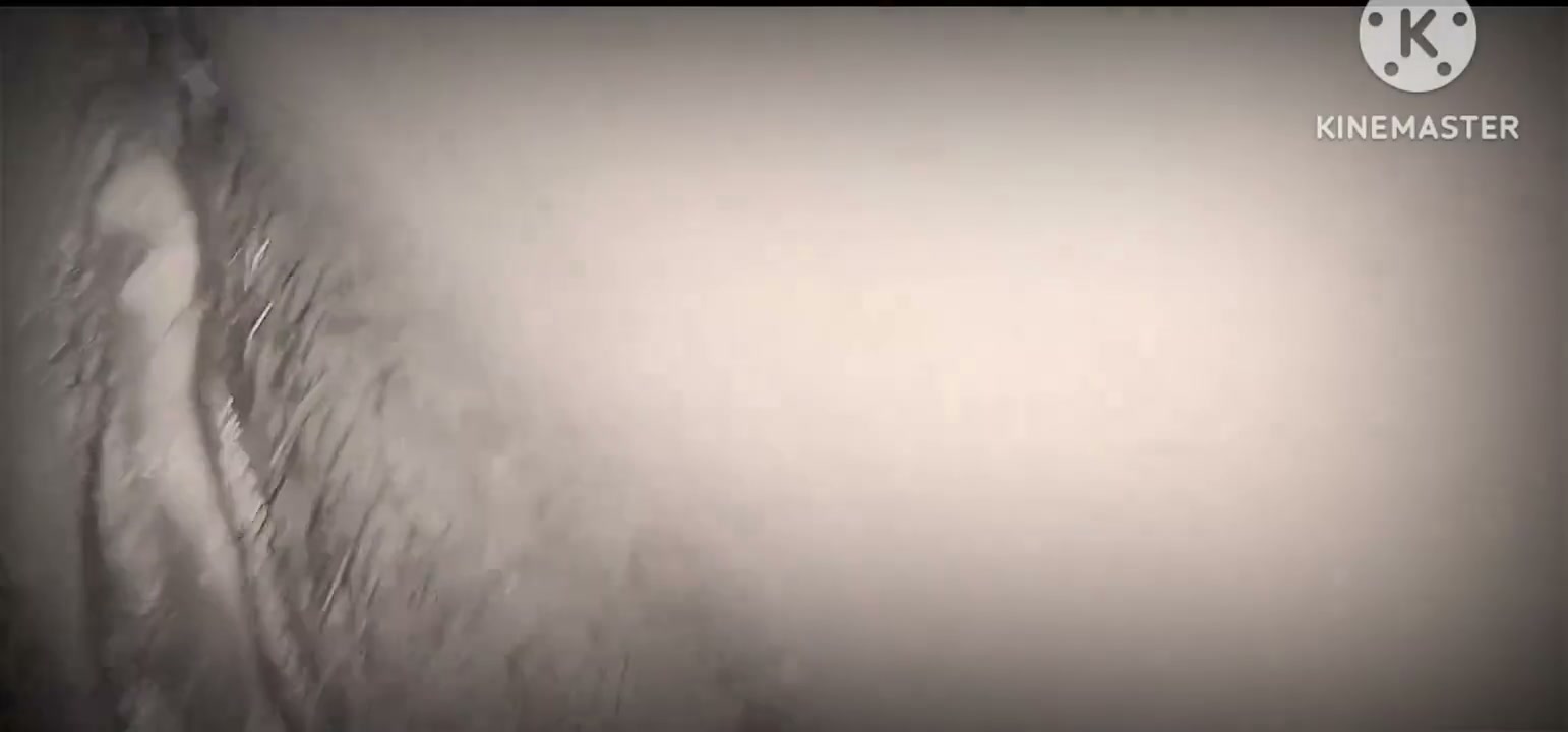 Frame 1