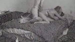 Spy cam catches yummy three some
