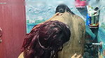 Hot bath romance with ass kiss and ass lick