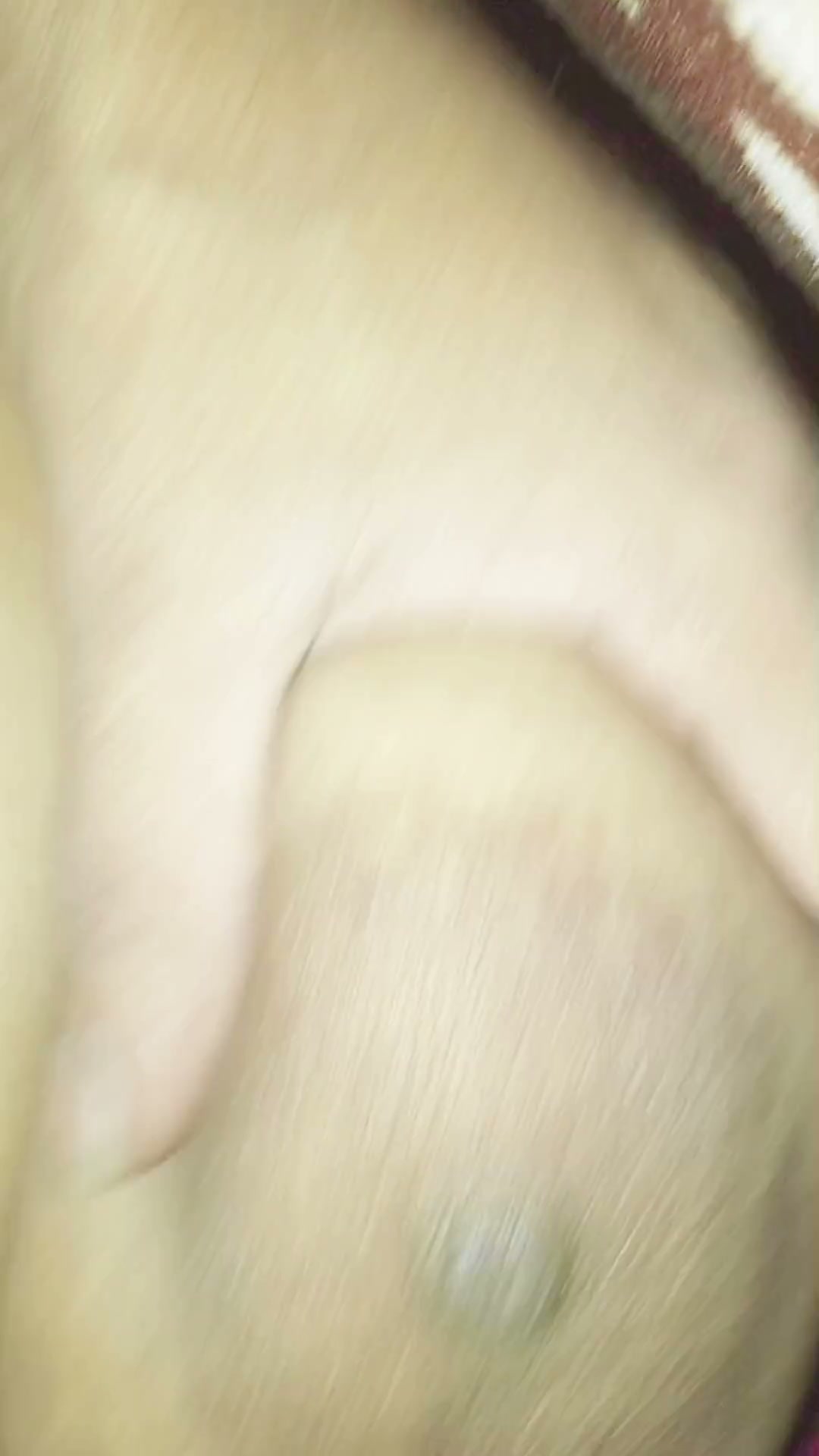 Frame 3