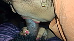 Only One Like. You Ll Have to Take My Penis in Your Mouth. and You Ll Also Have to Say Liker in Your Mouth.
