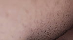 Sex Poropos