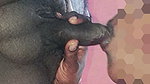 South Indian Tamil Husband Wife