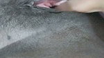 The Neighbor’s Stepbrother Fingered My Pussy