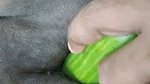 The Neighbor’s Stepbrother Fingered My Pussy