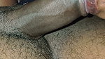 Today Best Blowjob