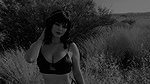 acnoctem Onlyfans video collection – 29