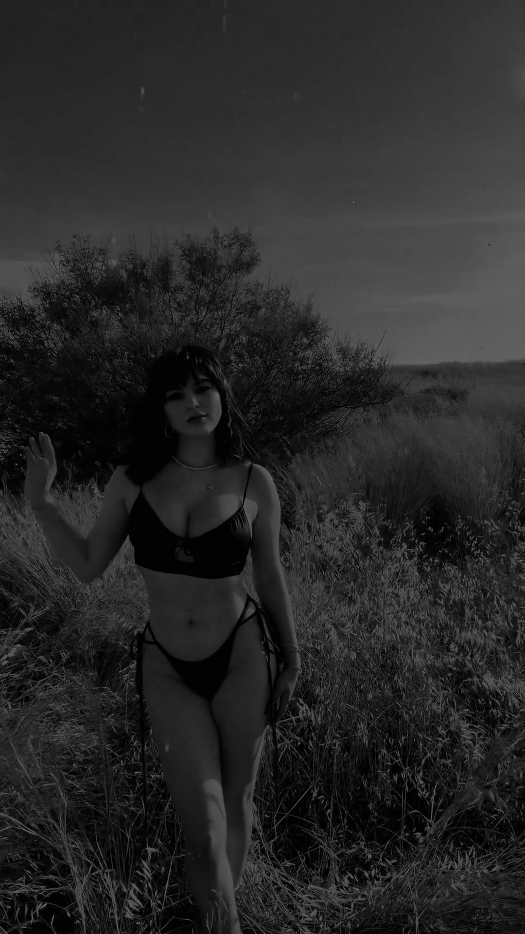Frame 5