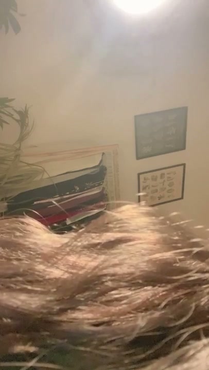 Frame 1