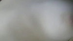 Loverlaci Onlyfans video collection – 271